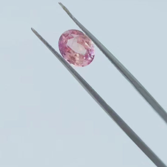 1.6ct padparadscha sapphire, orange and pink, loose gemstone